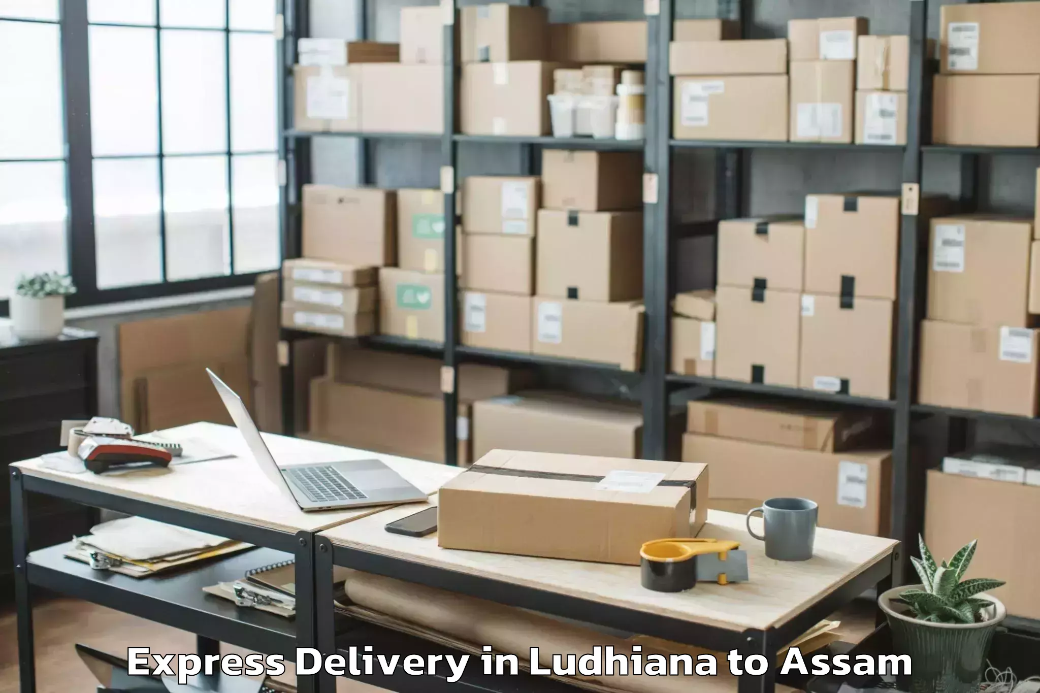 Professional Ludhiana to Abhayapuri Express Delivery